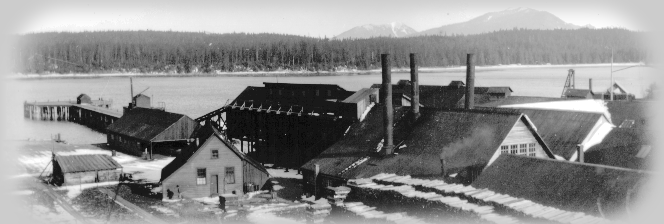 Herring Reduction Plant at Killisnoo