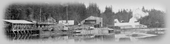 Whale Moored in front of Port Armstrong